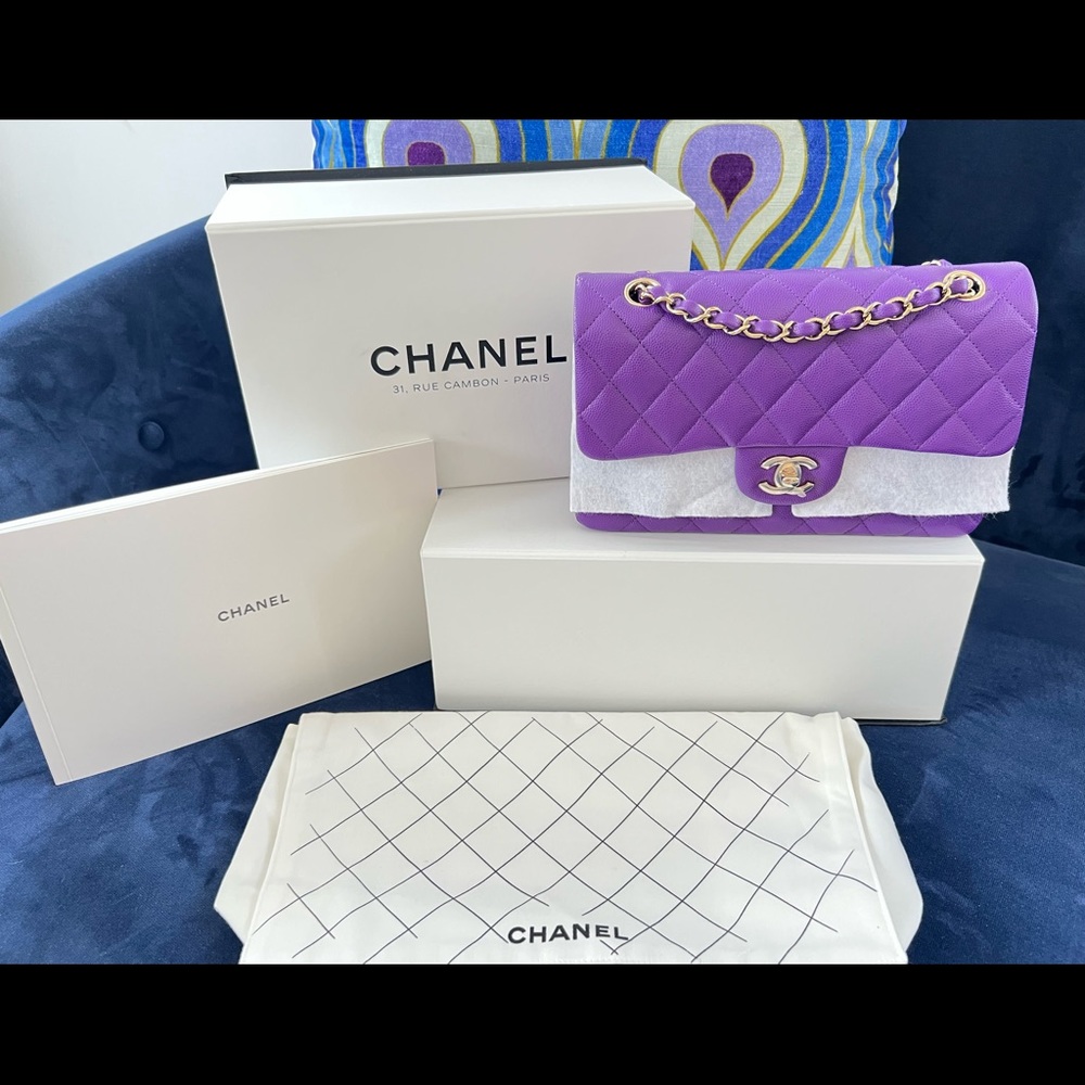 BRAND NEW Chanel Small Classic Flap from the Métiers d'Art 2022 Collection